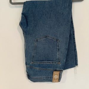 Madewell perfect vintage Jean with tags